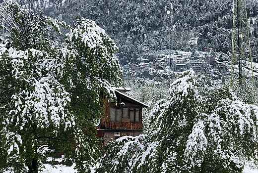 Red House Cafe Manali Free Cancellation Price Address Reviews Red House Cafe Manali Free Cancellation Price Address Reviews