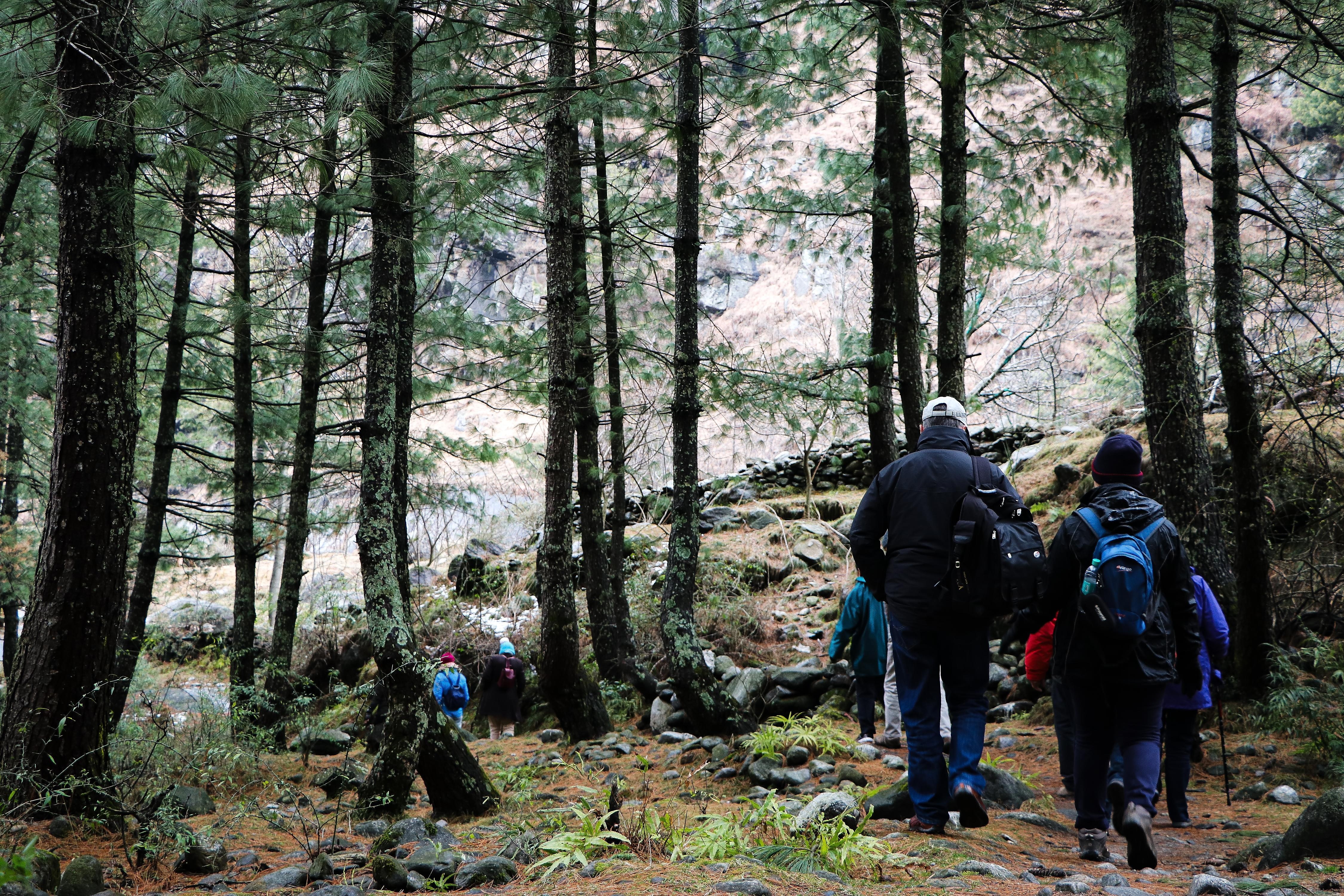 Seol Nature Walk