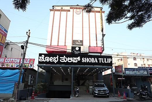 Shoba Tulip