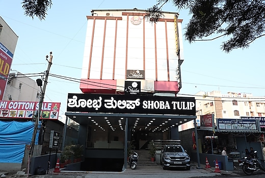 Shoba Tulip