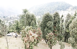 Outdoors
