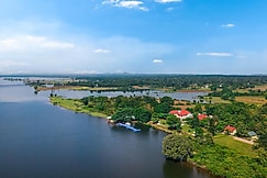 The Forest Chapter By Sayaji Madhai, Betul