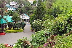 Golden Green Resorts, Munnar