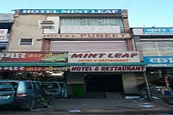 Mint Leaf, Kota