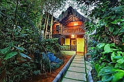 Evergreen County Resort Coorg - A Coffee Plantation Retreat, Coorg
