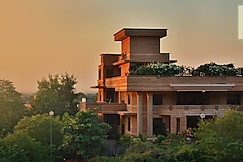 The Almond Tree, Jodhpur