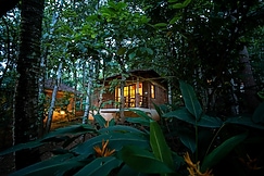 Raindrops Resorts Wayanad, Wayanad