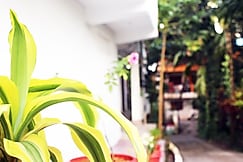 The Lotus Home, Ferrargunj