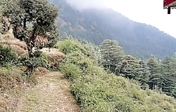Outdoors