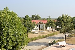 Little Rann Resort(Little Rann Of Kutch), Little Rann of Kutch