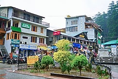 Hotel Grass Land, Manali