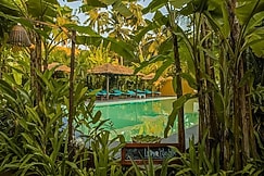 juSTa Morjim Beach Resort (80 steps from Morjim Beach), Goa