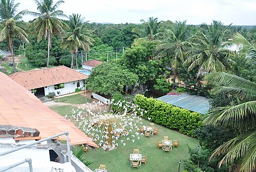 Seed Resort