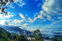 Winter Gardens Mountain View Rooms, Munnar