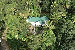 Coffee and Pepper Plantation Homestay, Thekkady