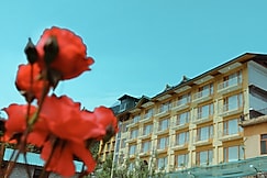 PRIMO RESORTS MANALI, Manali