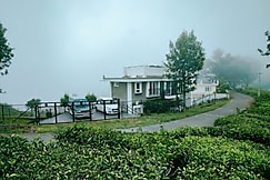 The Umber Tea, Coonoor