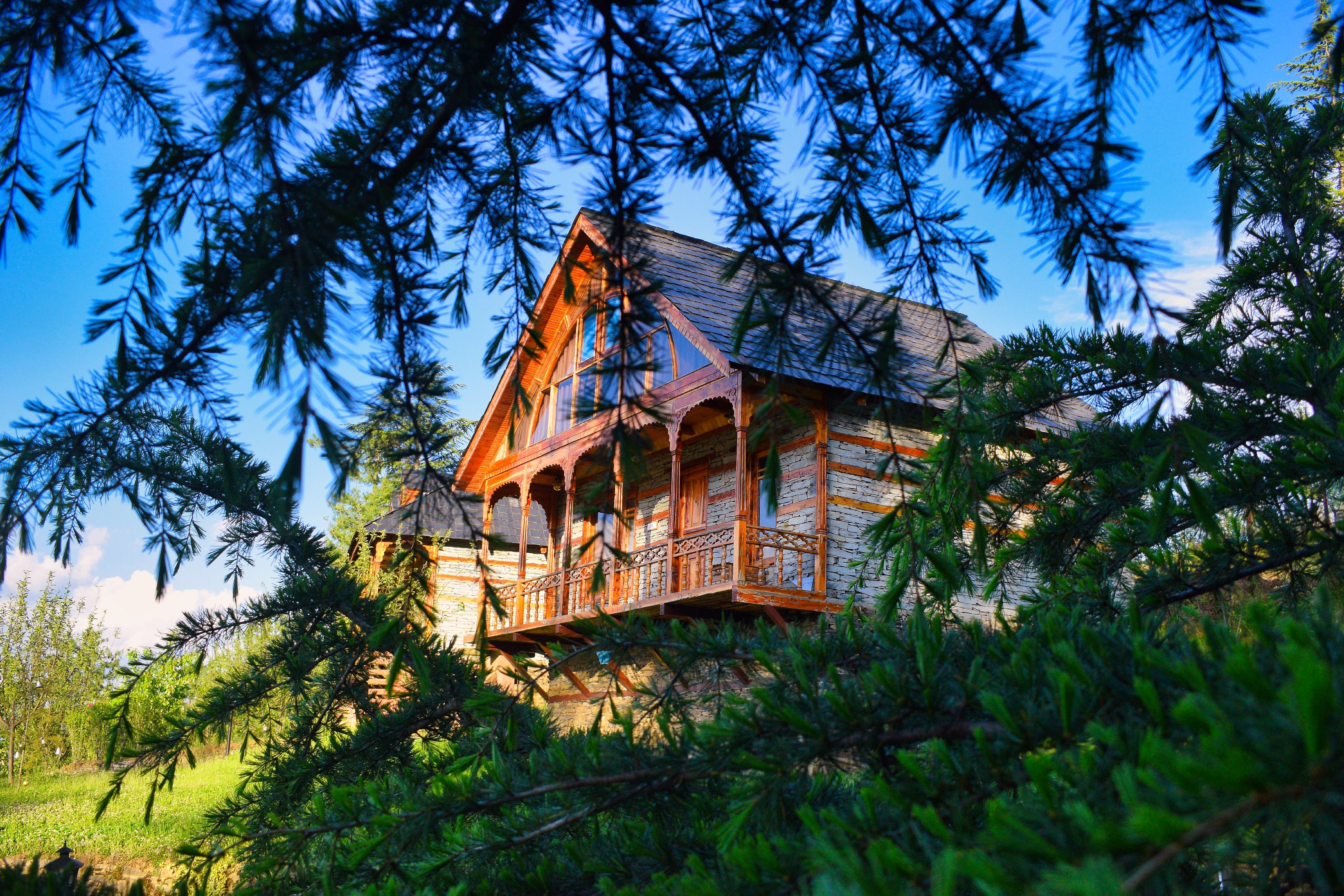 Woodvista Cottages Best Rates On Theog Hotel Deals Reviews Photos