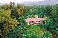 Lotus an Eco Beach Resort Dapoli Murud