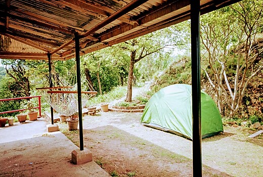 Rambling Rose Cottage Solan Cottage Price Address Reviews