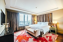 Hotel Airport Star, Delhi