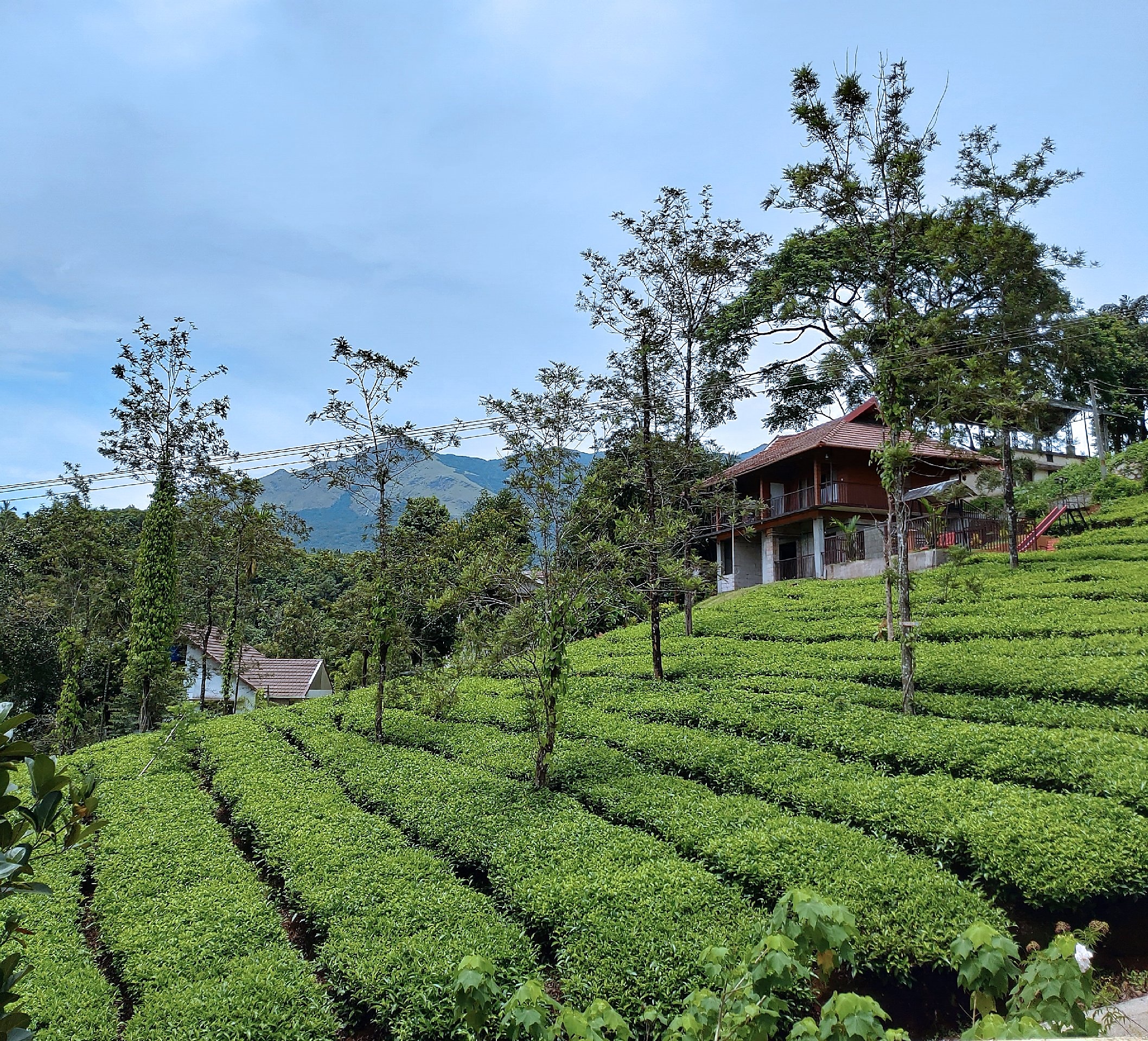 Vythiri Tea Garden Retreat Wayanad INR 701 OFF ( ̶2̶8̶3̶0̶ ) Cottage