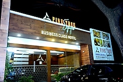 Pine Tree Signature, Chennai
