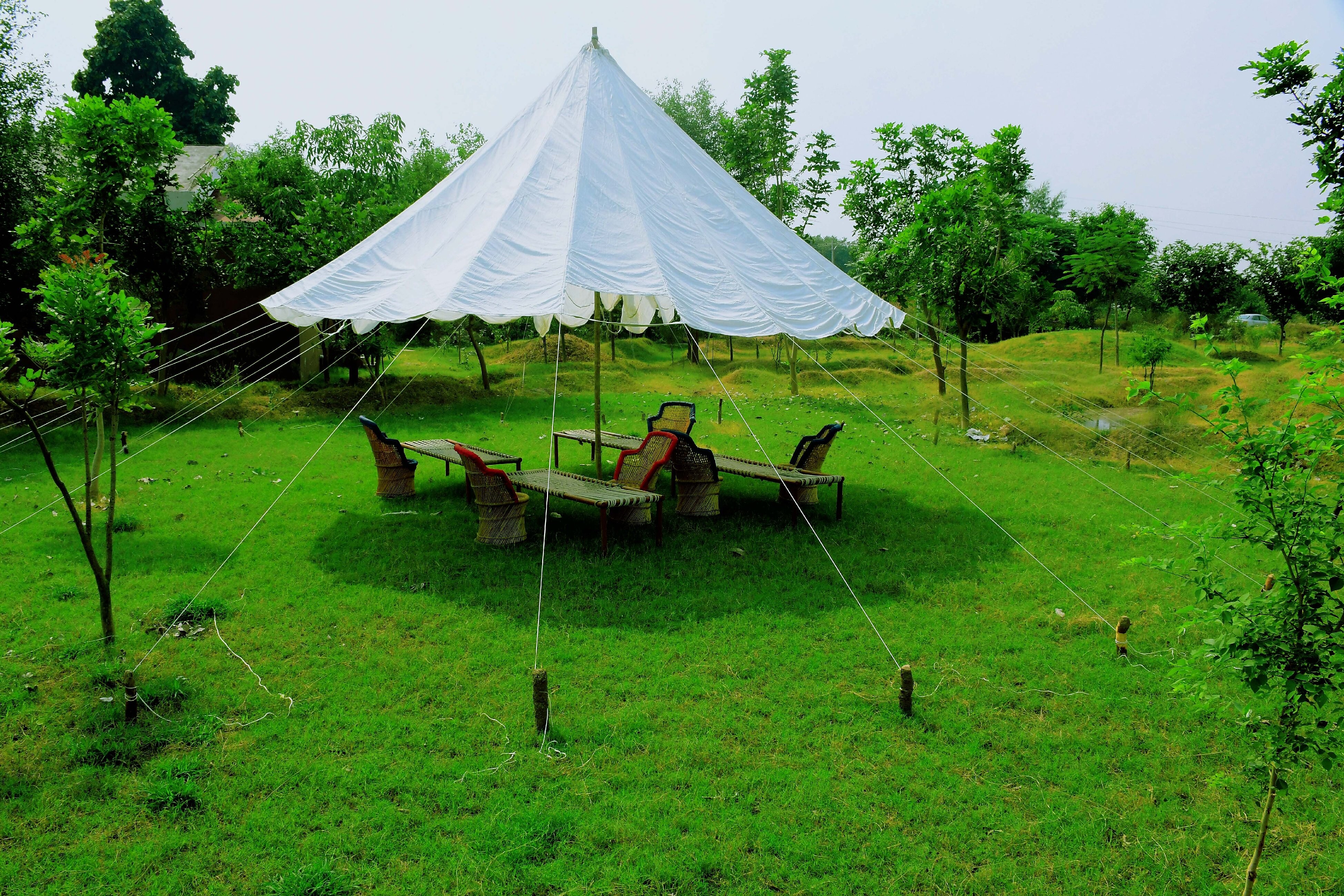 Chambal Wildlife Safari lodge - Tap to explore photos