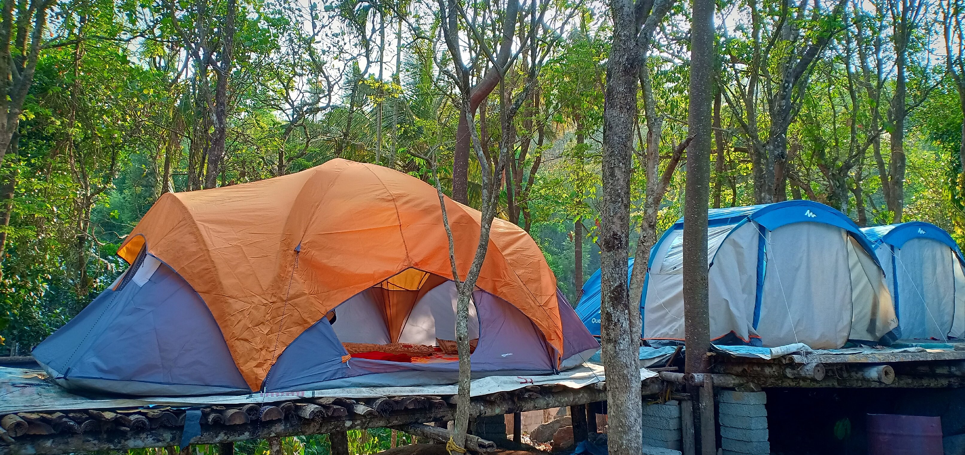 Tent Best Rates on Wayanad Hotel 
