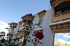 Hotel Mandal Chan, Leh