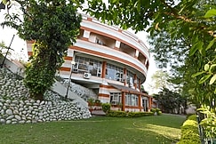 Grey Pelican, Yamunanagar