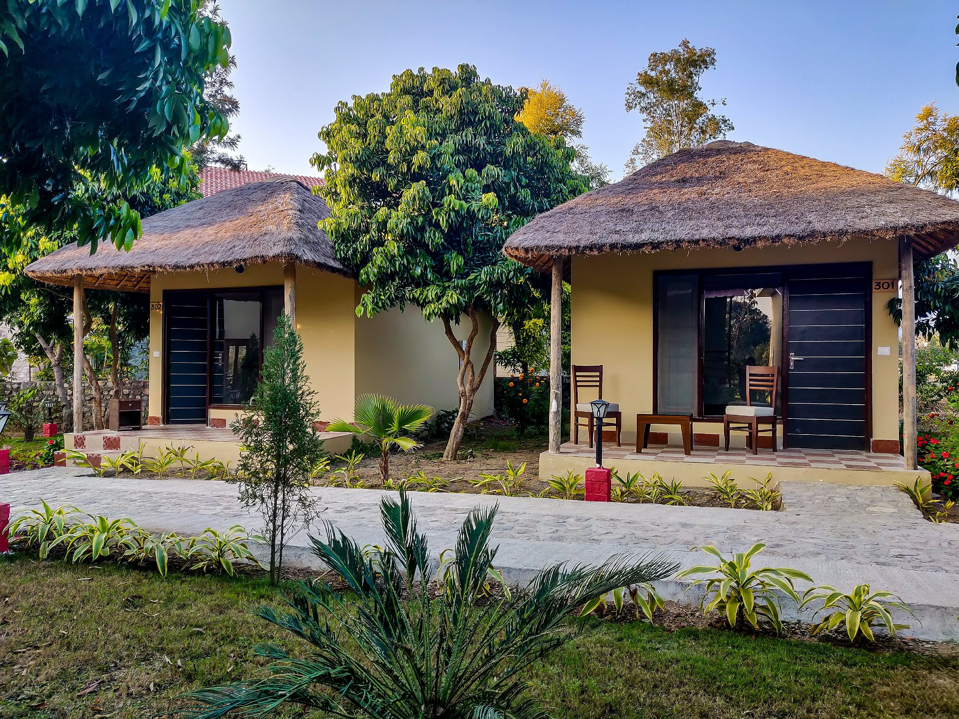 Corbett Tigers n Trees - Resort View