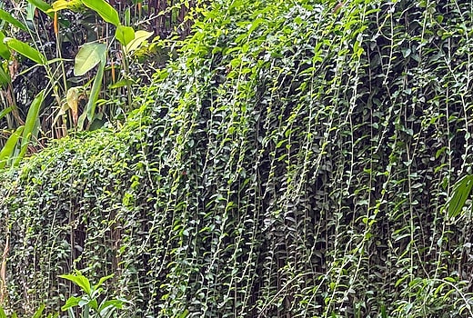 Transtree at Brookefield | Corporate Stays