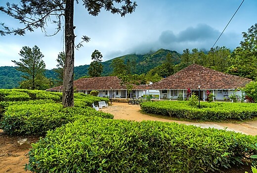Zostel Plus Wayanad