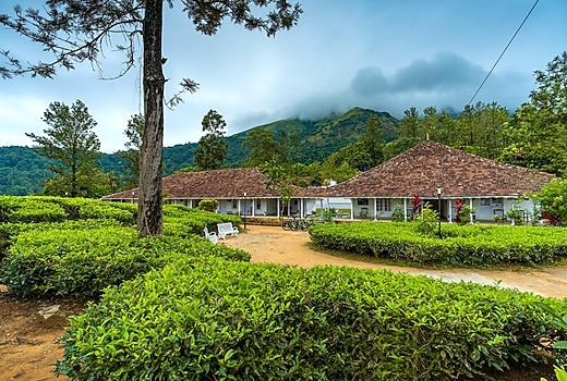 Zostel Plus Wayanad