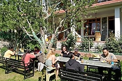 Madpackers Manali Rooms|Dorms, Manali