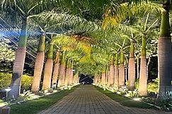 Sharmada Hidden Nest Resort, Mysore