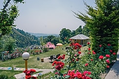 Bir Camps, Bir Billing