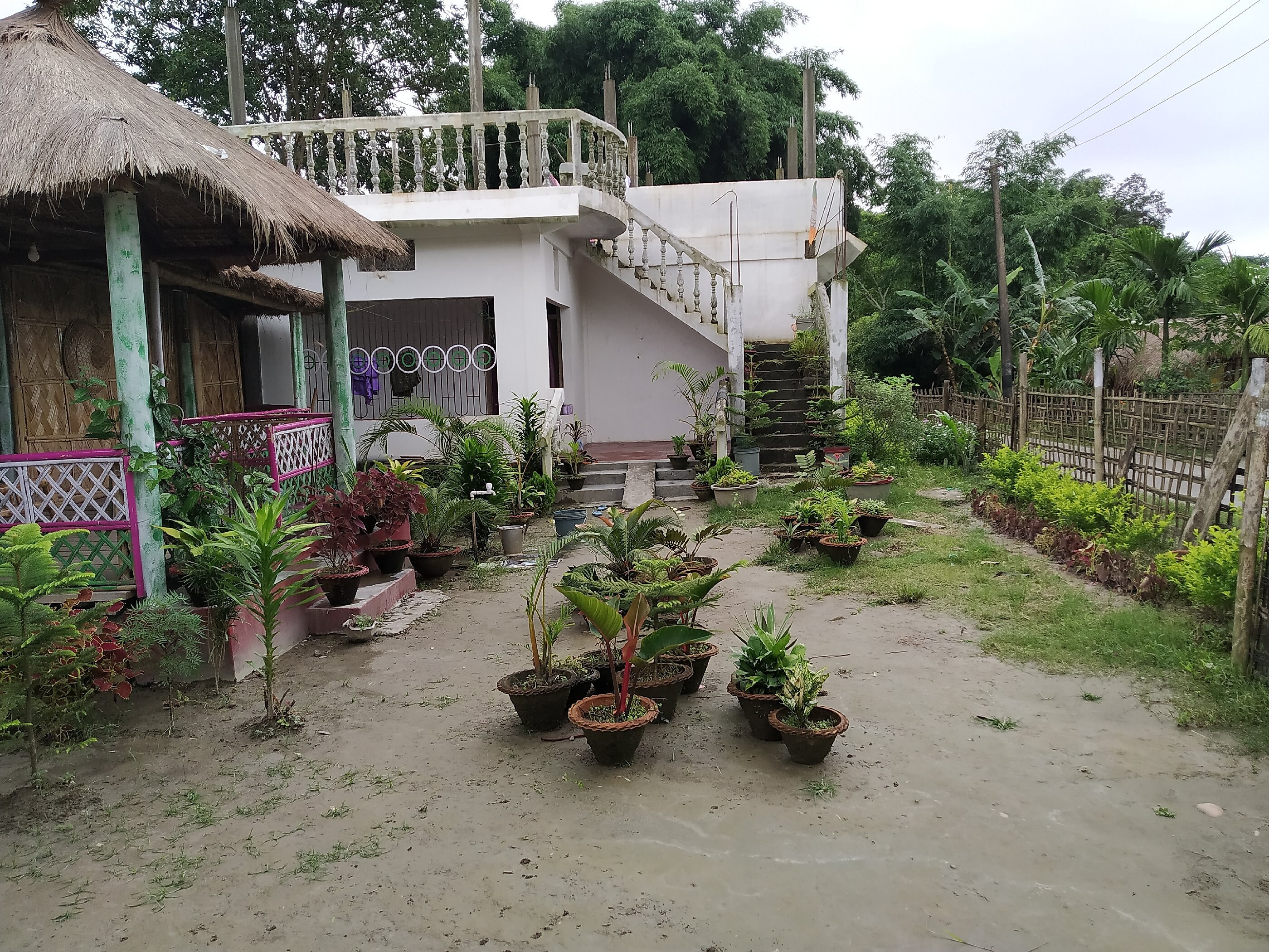 Jonki Panoi Bamboo Cottages, Majuli - Tap to explore photos