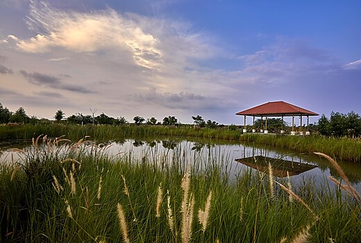 Blackbuck Safari Lodge Velavadar