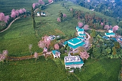 Eco Adventure Resorts The Temi Bungalow, Gangtok