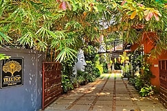 Treetop Beach Cottages Homestay | Peaceful stay near the beach, Kannur