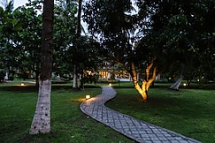 Mangifera, Gundlupet