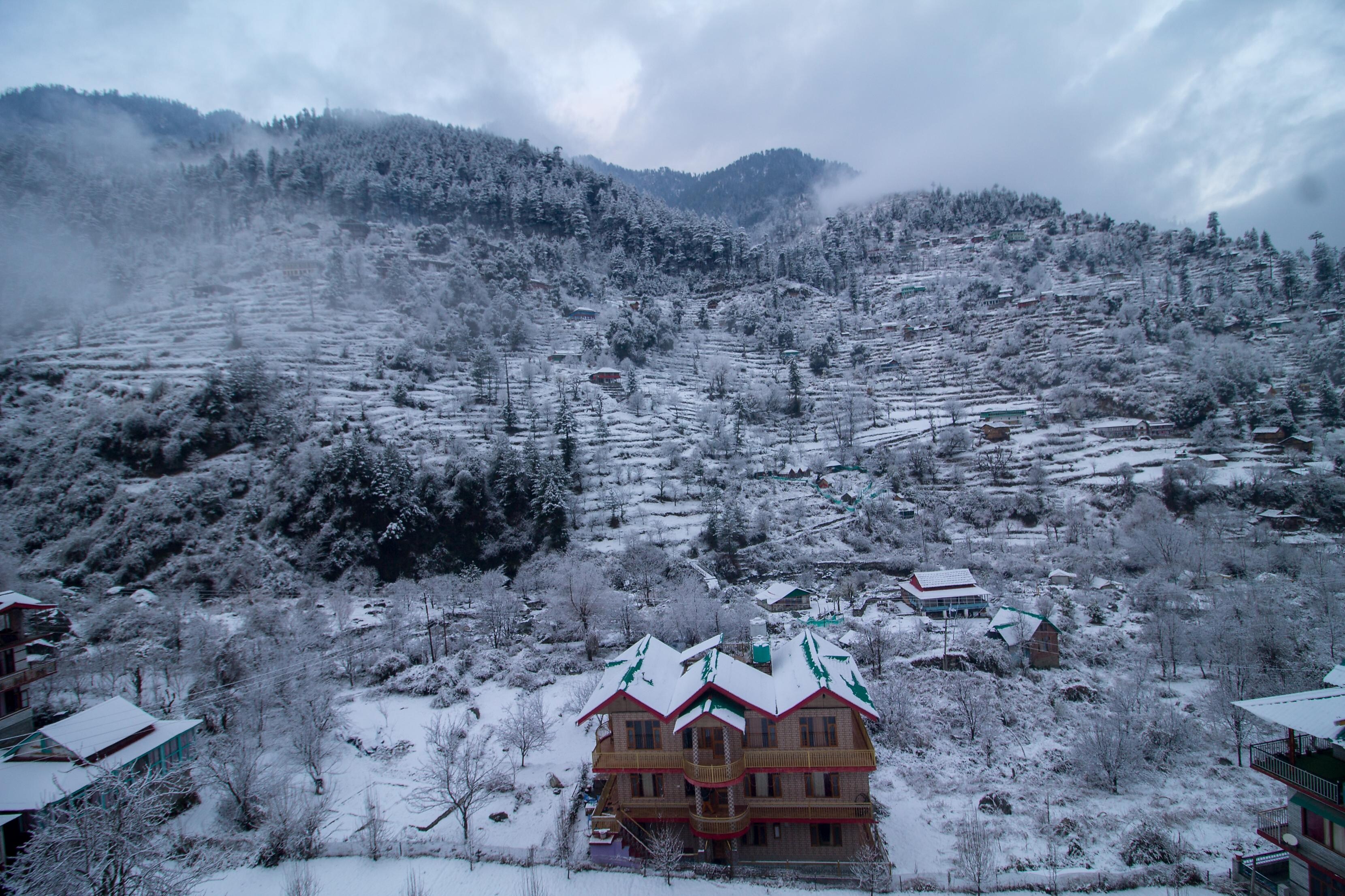 Photos of RIO PARADISE Guest House in Jibhi