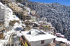 Frosty Woods Home Stay, Shimla