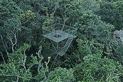 SpiceBuds FarmStay - Ramakkalmedu, Kuttikkanam