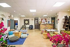 Palm Inn | Boutique Luxury Rooms | 10 mins From Hawa Mahal, Jaipur