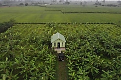 Blue Moon Farm Stay, Hangal