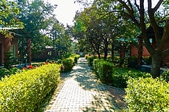 Mango Tree Resorts, Aligarh