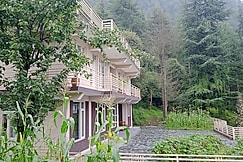 Junglaat Stays & Experiences, Dharamshala